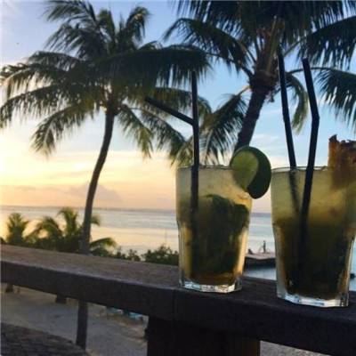 BOB体育综合官方平台APP